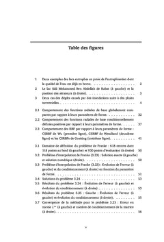 Méthodes sans maillage pour la résolution d'écoulements peu profonds