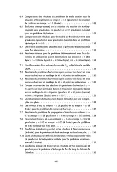 Méthodes sans maillage pour la résolution d'écoulements peu profonds