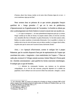 Frontière entre le Cameroun et le Tchad en Afrique centrale