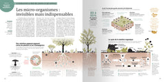 La biodiversité en infographies