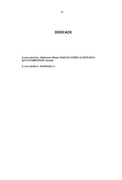 Les groupes armés et l'impact sur la sécurité dans les Grands-lacs
