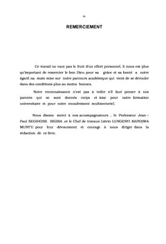Les groupes armés et l'impact sur la sécurité dans les Grands-lacs