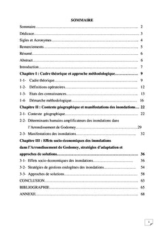 Effets socio-économiques des inondations