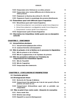 Durabilite des toles galvanisees peintes revelee par les ultrasons