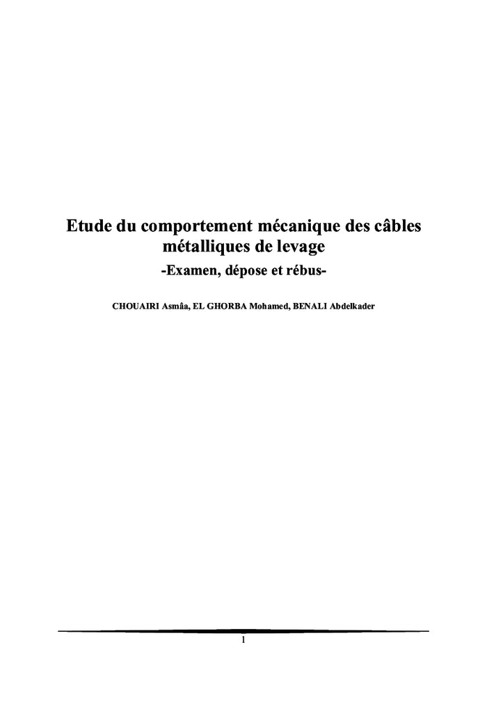 Etude du comportement mécanique des câbles métalliques de levage