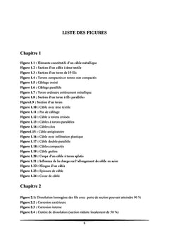 Etude du comportement mécanique des câbles métalliques de levage