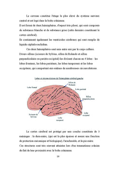 Distractibilité et traumatisme crânien