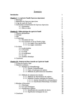 Le cyprès du Tassili n'Ajjer