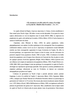 Le cyprès du Tassili n'Ajjer