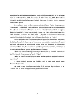 Le cyprès du Tassili n'Ajjer