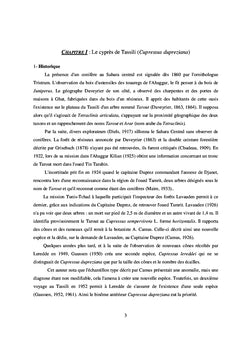 Le cyprès du Tassili n'Ajjer