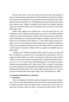 Le cyprès du Tassili n'Ajjer