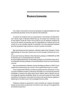 Contribution de la FD-TLM dans la modélisation électromagnétique