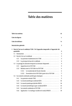 Contribution de la FD-TLM dans la modélisation électromagnétique