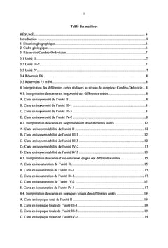 Interprétation diagraphique du réservoir d'hydrocarbure