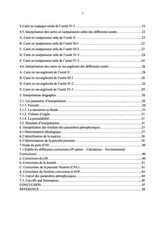 Interprétation diagraphique du réservoir d'hydrocarbure