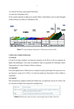 Interprétation diagraphique du réservoir d'hydrocarbure