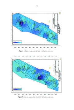 Interprétation diagraphique du réservoir d'hydrocarbure