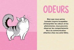 Le langage du chat