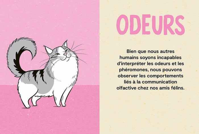 Le langage du chat