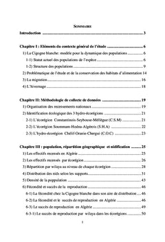 La Cigogne blanche en Algérie