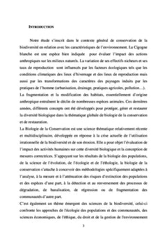La Cigogne blanche en Algérie