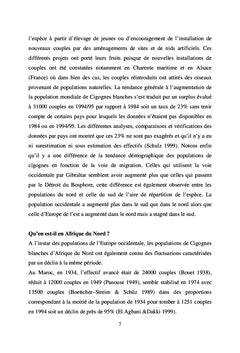 La Cigogne blanche en Algérie
