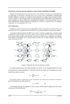 Modélisation et optimisation basée sur les méthodes hybrides