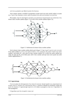 Modélisation et optimisation basée sur les méthodes hybrides