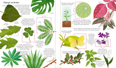 Arbres et plantes
