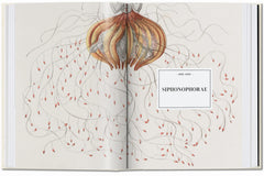 L’art et la science de Ernst Haeckel