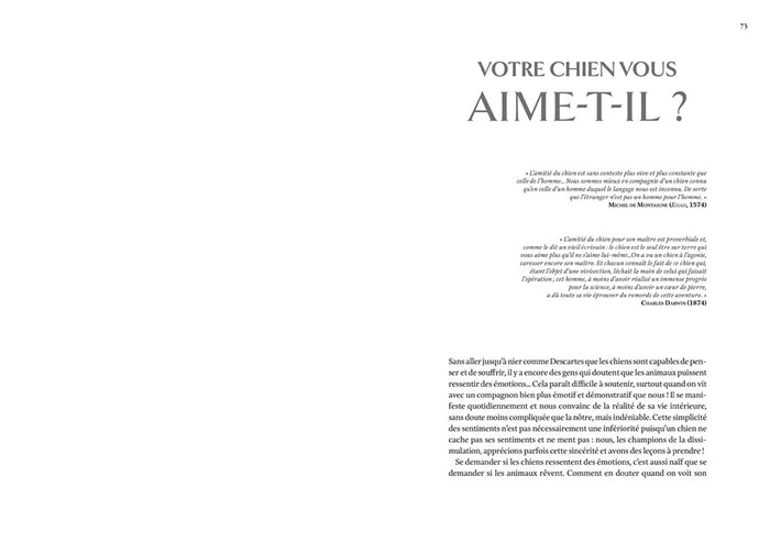 Le Chien, un loup rempli d'humanité