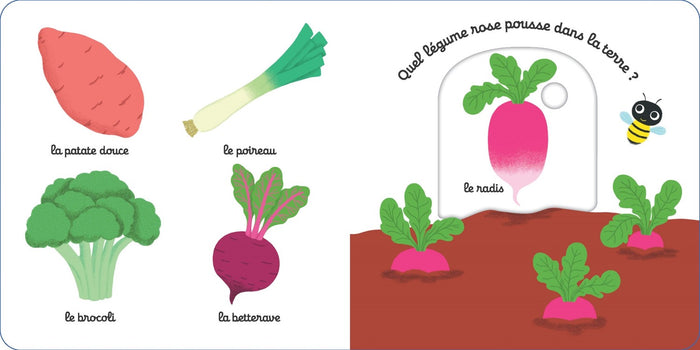 Mon imagier animé les légumes
