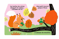 Cache-cache petit écureuil