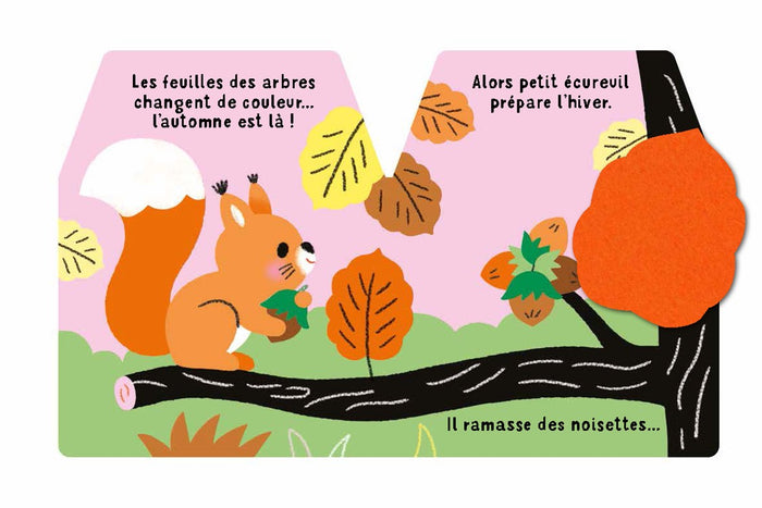 Cache-cache petit écureuil