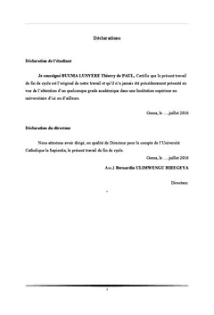 Strategies d'efficacite des initiatives locales de developpement en RDC