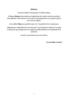 De la Gestion de l'Environnement des Niayes Dakar-Senegal en Question