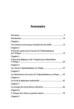 Les secrets de l'industrialisation de l'Afrique des 50 annees A venir