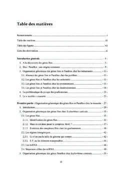Évolution des gènes Hox et ParaHox