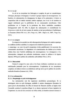 Sélection des bactéries productrices des substances bioactives