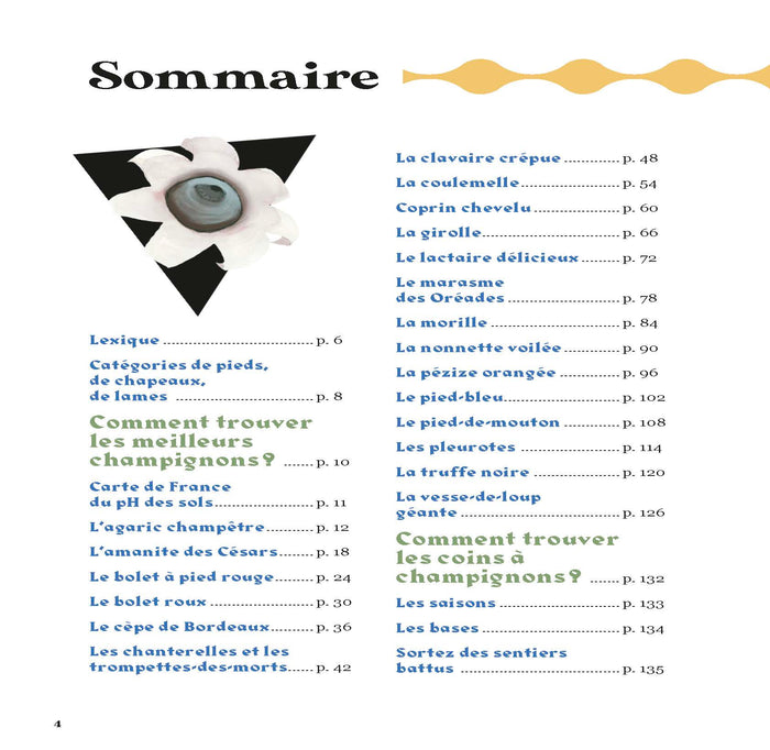 Comment trouver des champignons ?