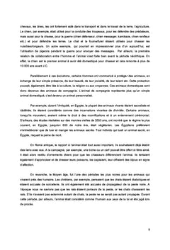 Investir dans des produits vegan