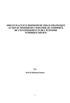 Mise en place d'un dispositif de veille stratégique