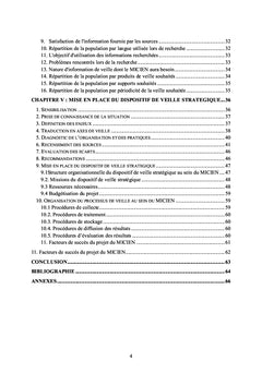Mise en place d'un dispositif de veille stratégique