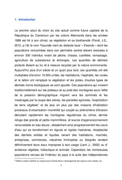 Vers des Technologies Intermédiaires de Gestion des Déchets Municipaux