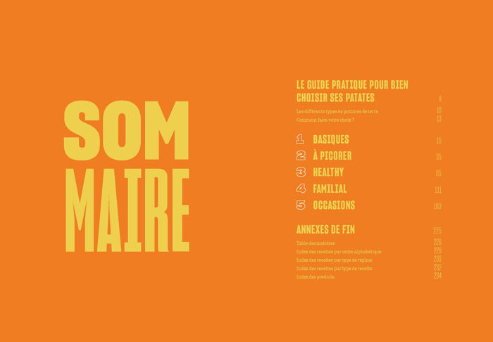 100 recettes de patates