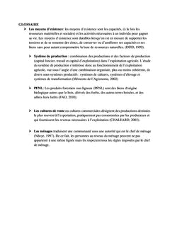 Contribution à l'étude de durabilité du projet de domestication poivre