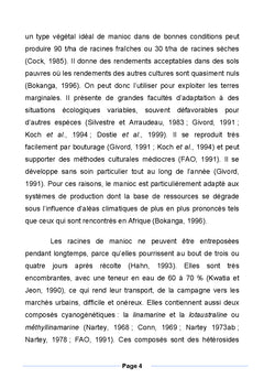 Le manioc: