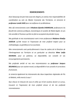 Aires métropolitaines, territoires et projet régional au Maroc