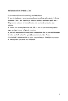 Analyse conceptuelle du management des projets